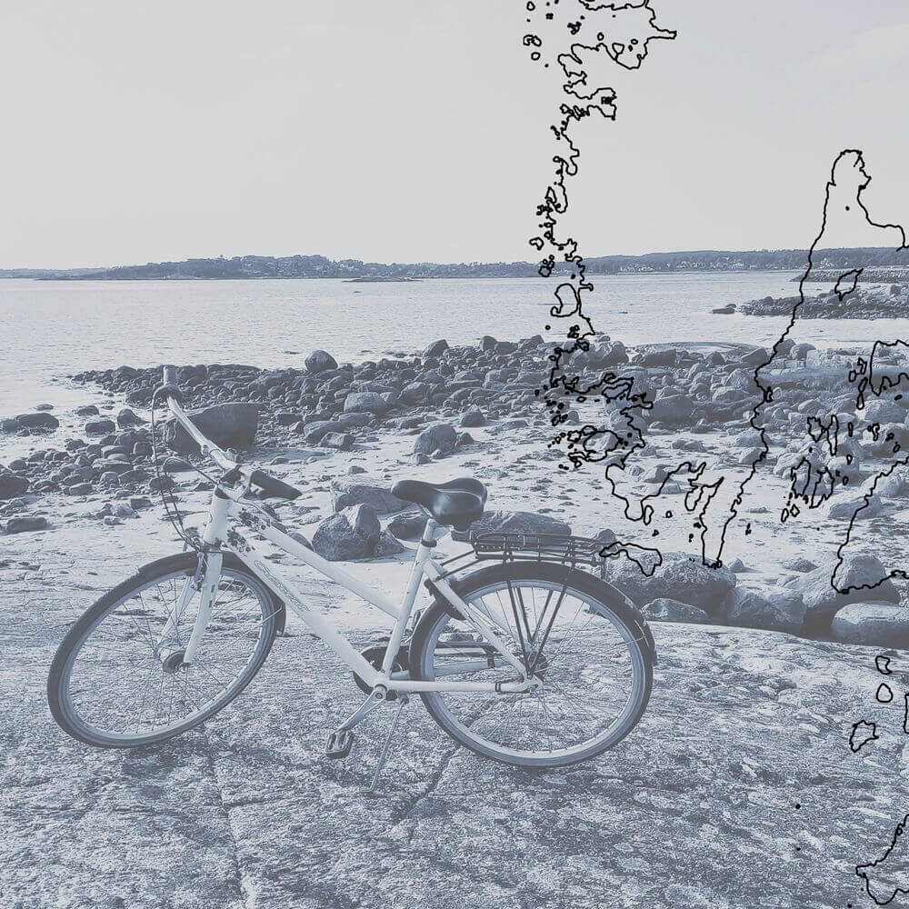 Transects: Landscapes on Move | Sweden